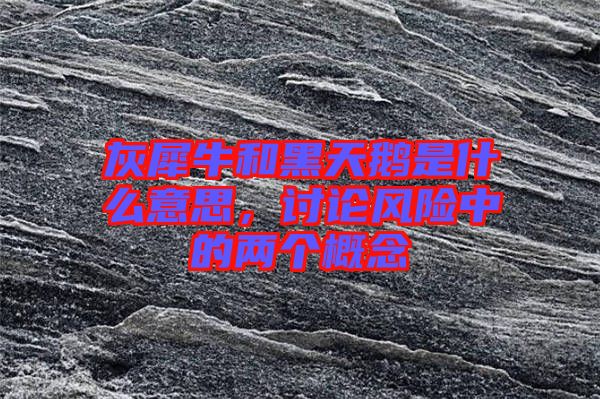 灰犀牛和黑天鵝是什么意思,討論風險中的兩個概念