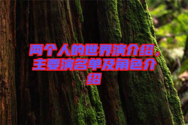 兩個人的世界演介紹，主要演名單及角色介紹