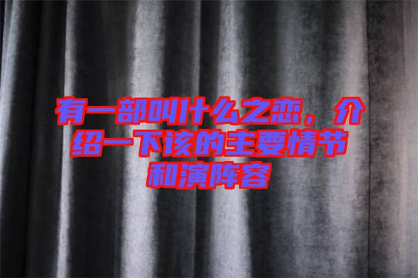 有一部叫什么之戀，介紹一下該的主要情節和演陣容