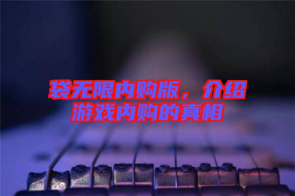 袋無限內購版,介紹游戲內購的真相