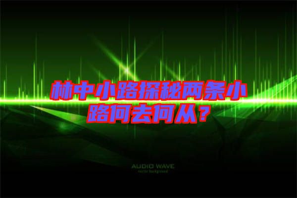 林中小路探秘兩條小路何去何從？