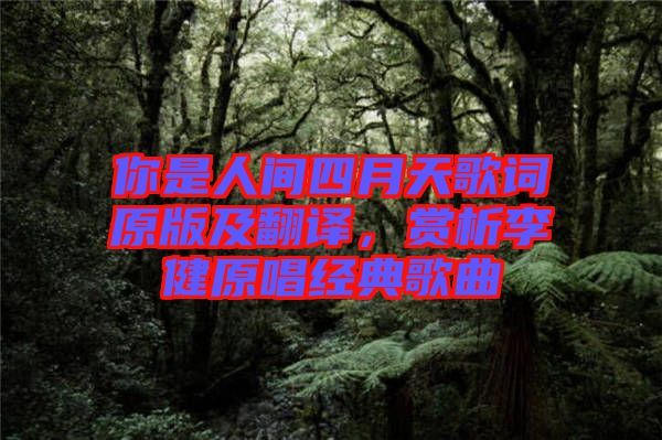 你是人間四月天歌詞原版及翻譯，賞析李健原唱經典歌曲