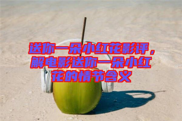 送你一朵小紅花影評，解電影送你一朵小紅花的情節含義