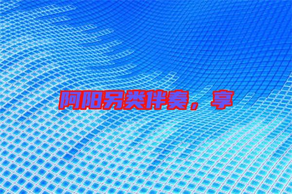 阿陽另類伴奏，享